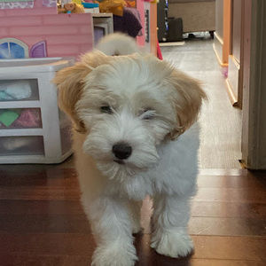 Meet your Posher, Axel